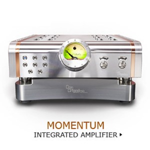 Dan D’Agostino(단다고스티노) Momentum Integrated Amplifier